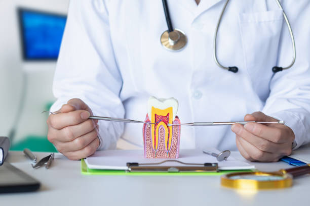 Best Orthodontic Emergency Dentist in Rshfield Hills, MA